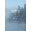 04-ouvindo-a-voz-img